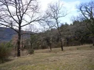 Sale, land lot, 9328m², Mojdež, Herceg Novi - image 6