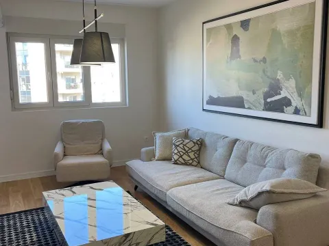 Izdavanje, jednosoban stan, 47m², Central Point, Podgorica