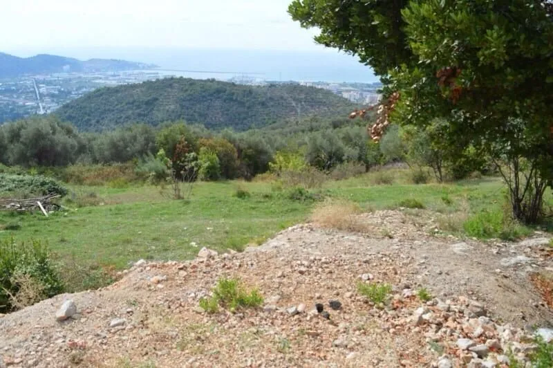 Prodaja, plac, 3000m², Velembusi, Bar