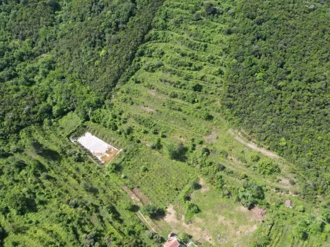 Prodaja, plac, 83000m², Radanovići, Kotor - image 7