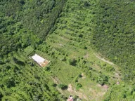 Prodaja,  zemljište, 83000m2, Radanovići, Kotor