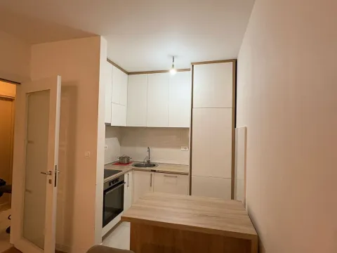Izdavanje, jednosoban stan, 47m², Central Point, Podgorica - image 12