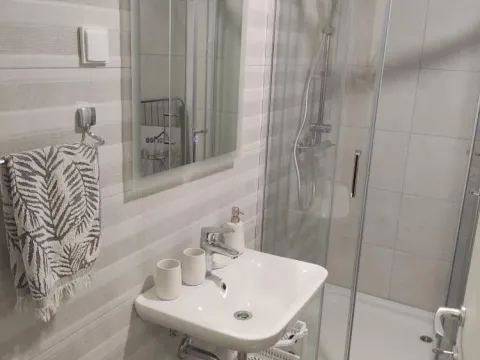 Rent, one bedroom apartment, 40m², Zabjelo, Podgorica - image 9