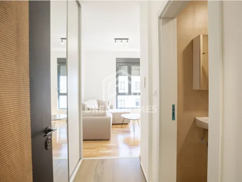 Rent, studio apartment, 21m², Tološi, Podgorica - image 4