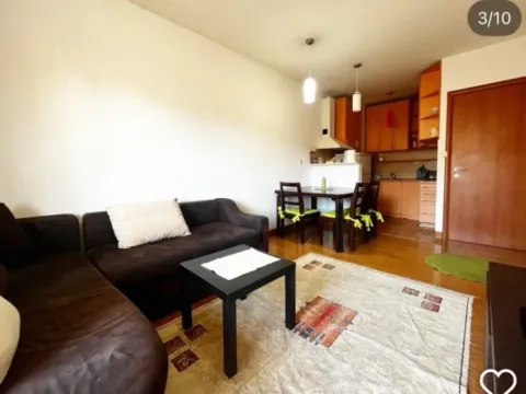 Izdavanje, jednosoban stan, 47m², Vezirov Most, Podgorica - image 8