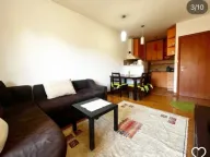 Rent, one bedroom apartment, 47m², Vezirov Most, Podgorica - image 8