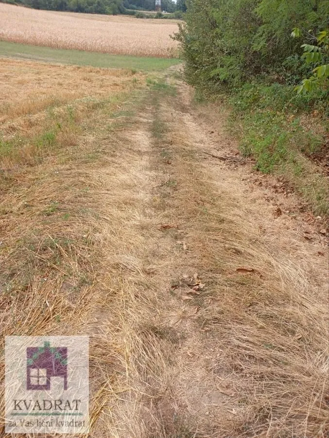 Prodaja, plac, 2550m², Mislodjin, Obrenovac