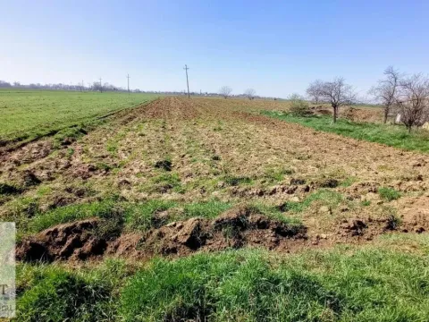 Prodaja, plac, 3600m², Obrenovac, Beograd - image 2