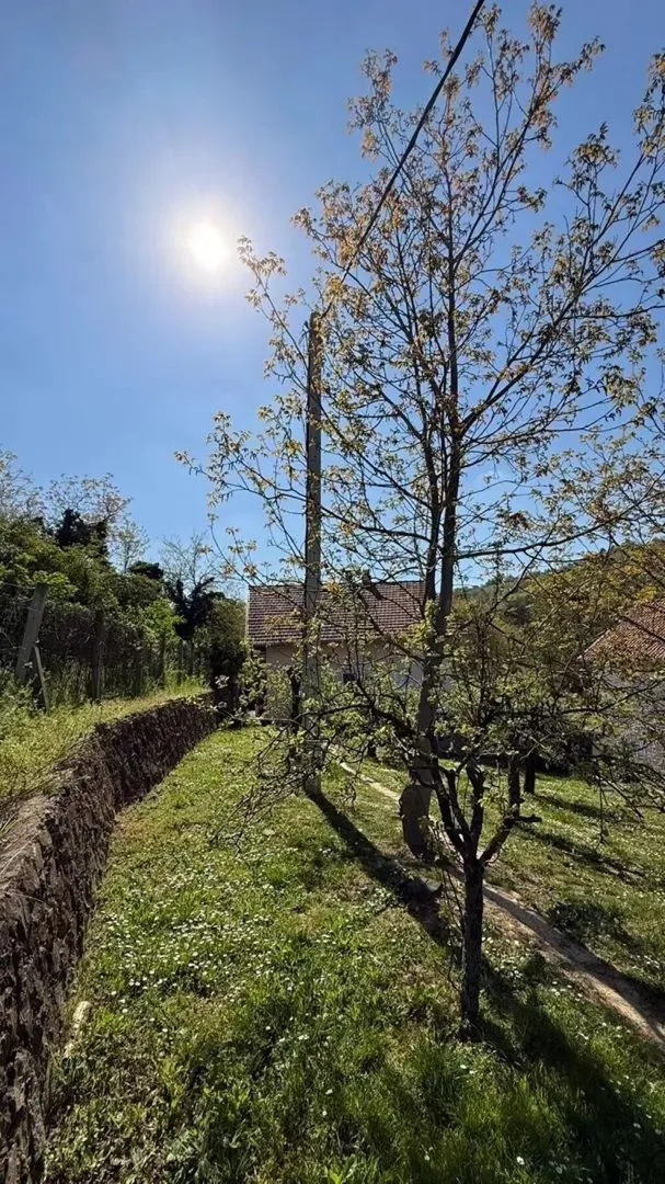 Prodaja, kuća, 197m², Sremska Kamenica, Petrovaradin