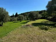 Prodaja, plac, 2540m², Kamenari, Herceg Novi - image 2