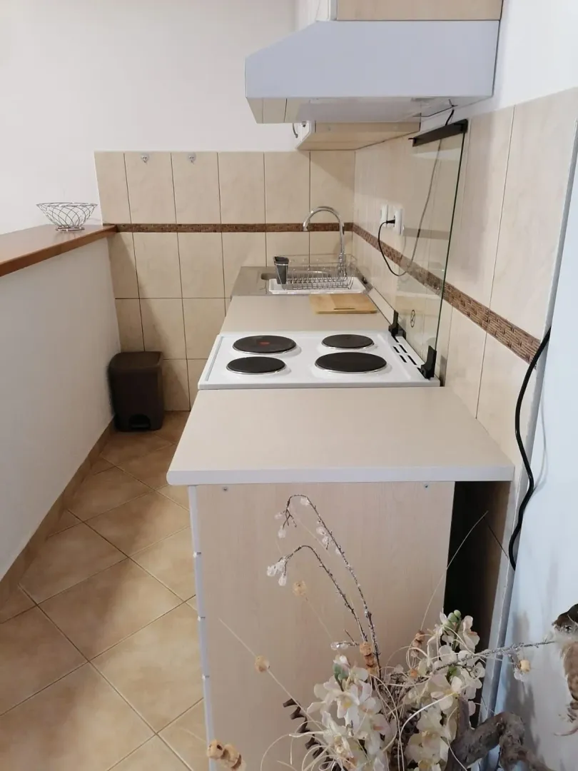 Manja kuhinja sa štednjakom i sudoperom.