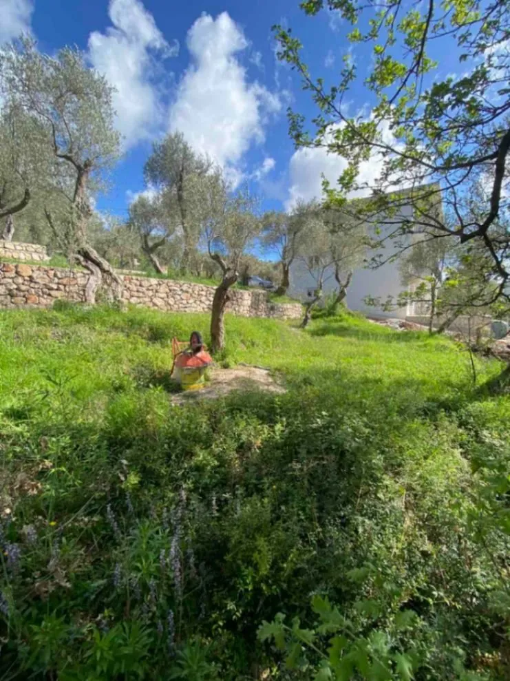 Prodaja, plac, 1000m², Bjeliši, Bar