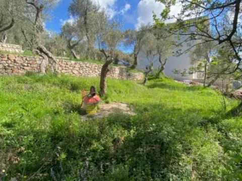 Sale, land lot, 1000m², Bjeliši, Bar - image 4