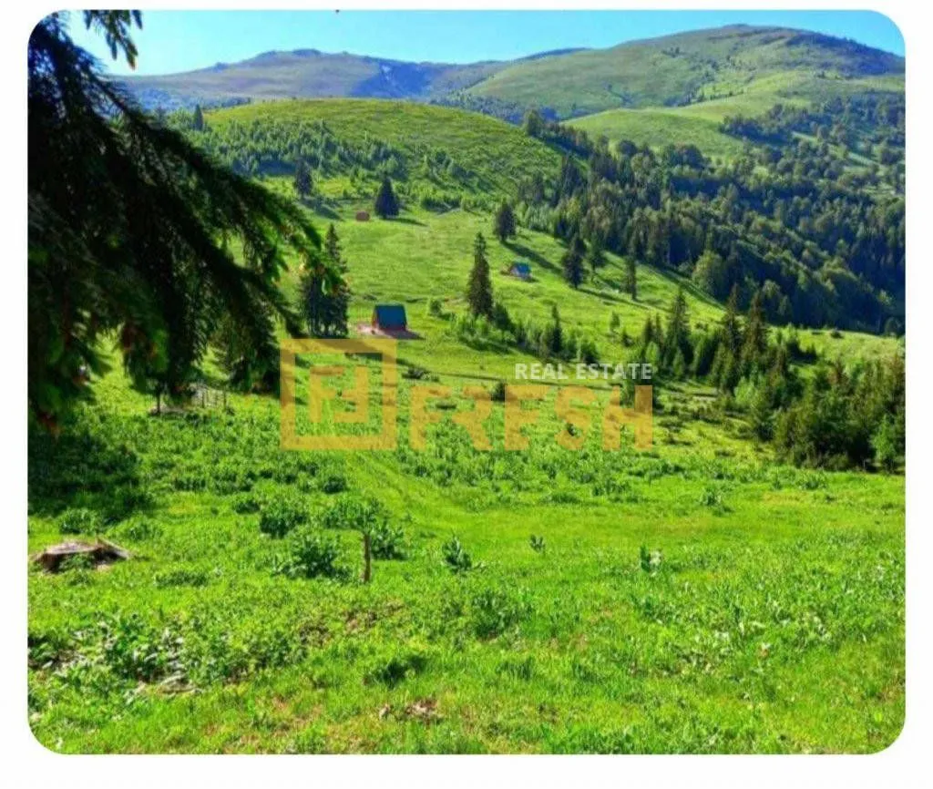 Prodaja, plac, 6000m², Berane, Crna Gora