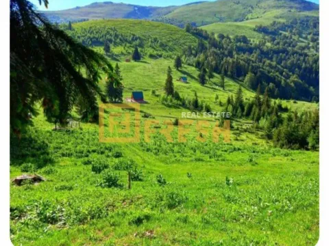 Prodaja, plac, 6000m², Berane, Crna Gora - image 4