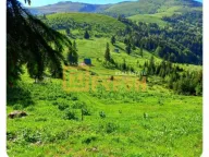 Prodaja, plac, 6000m², Berane, Crna Gora - image 4