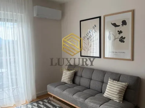 Rent, one bedroom apartment, 47m², Zabjelo, Podgorica - image 1
