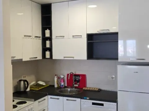 Izdavanje, jednosoban stan, 44m², Zagorič, Podgorica - image 4