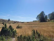 Sale, land lot, 1134m², Motički gaj, Žabljak - image 5