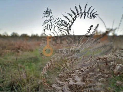 Prodaja, plac, 18000m², Danilovgrad, Crna Gora - image 10