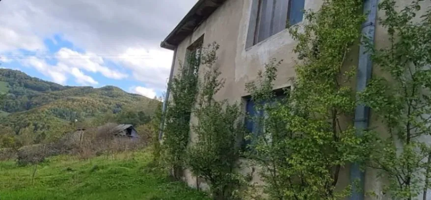 Prodaja, plac, 64450m², Rasadnik, Bijelo Polje