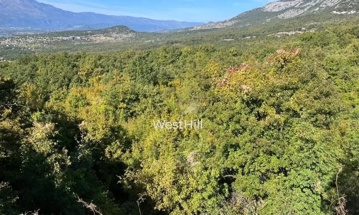 Sale, land lot, 47894m², Danilovgrad, Crna Gora