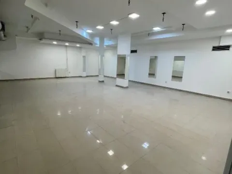 Izdavanje, poslovni prostor, 362m², Slavija, Vračar Sve Podlokacije - image 8