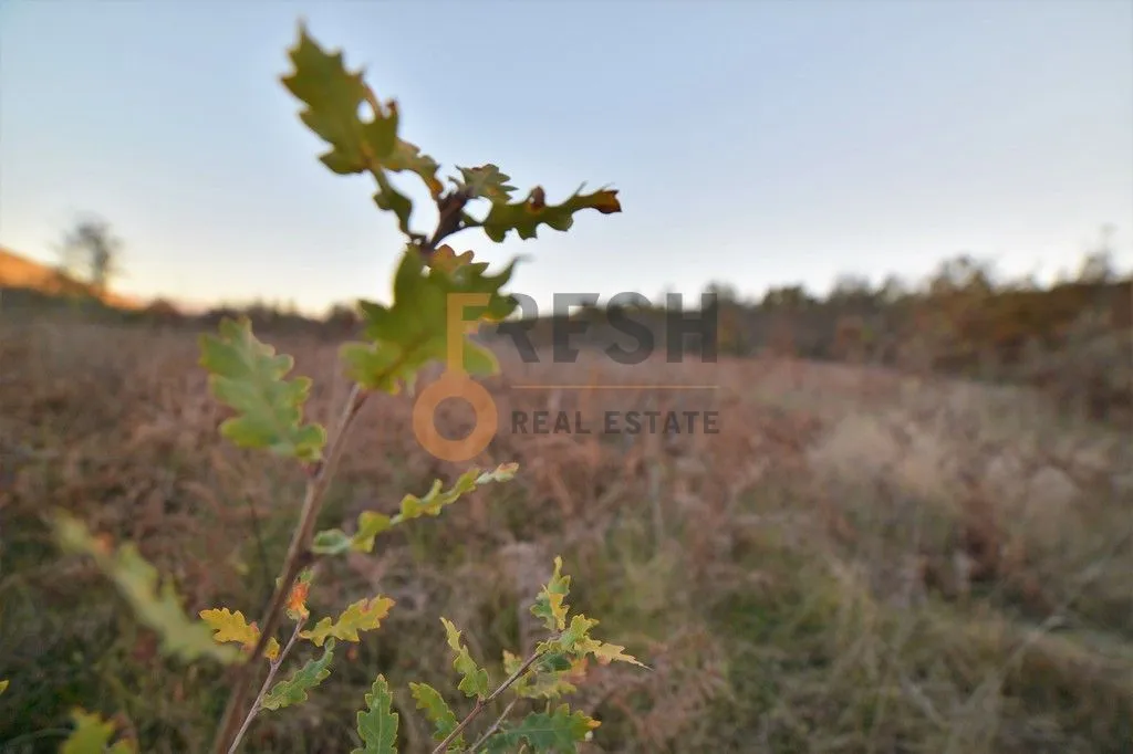 Prodaja, plac, 18000m², Danilovgrad, Crna Gora