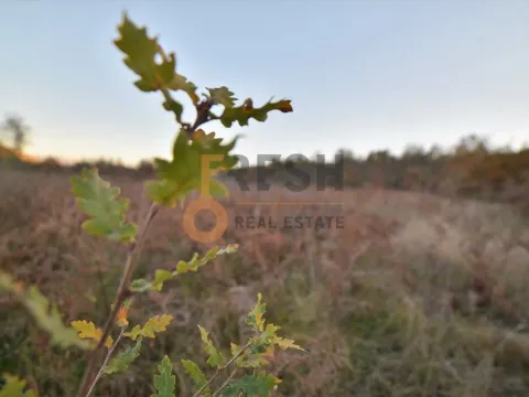 Prodaja, plac, 18000m², Danilovgrad, Crna Gora - image 14