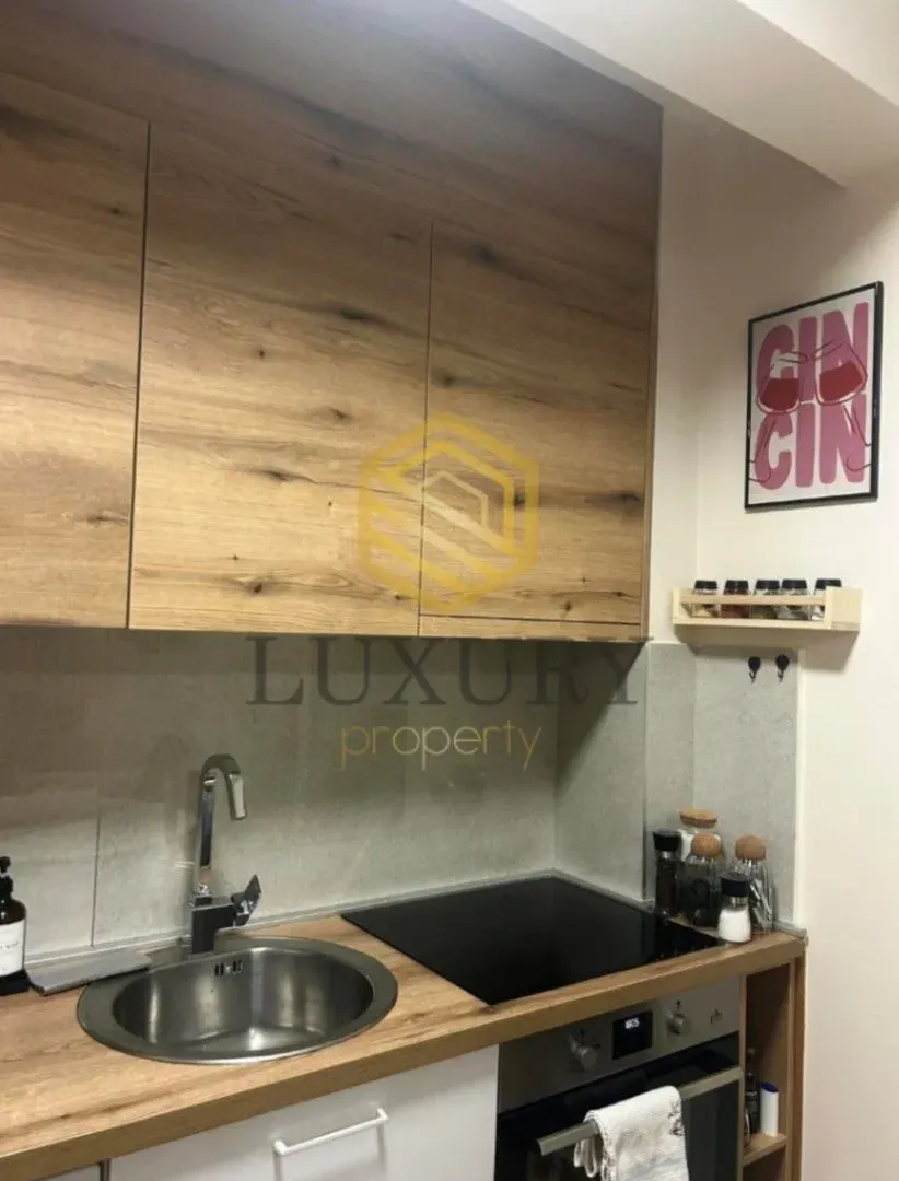 Izdavanje, jednosoban stan, 41m², Velji Vinogradi, Budva