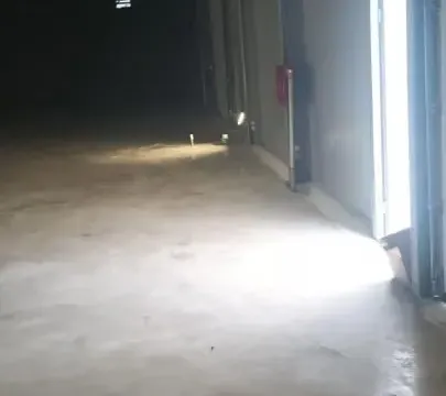 Izdavanje, poslovni prostor, 1500m², Galenika, Beograd - image 5