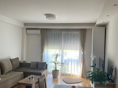 Rent, studio apartment, 35m², Tološi, Podgorica - image 8