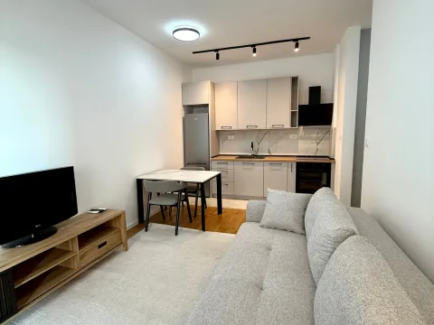 Rent, one bedroom apartment, 37m², Tološi, Podgorica - image 3