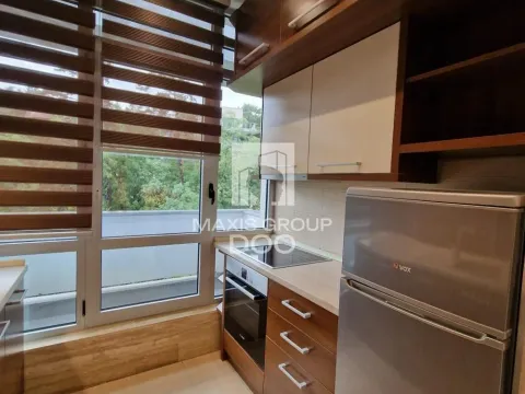 Izdavanje, dvosoban stan, 48m², Savski Venac, Beograd - image 5