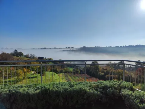 Prodaja, kuća, 337m², Sremska Kamenica, Petrovaradin - image 35