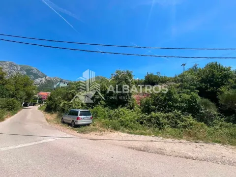 Pogled na prilaz i vegetaciju ispred parcele sa parkiranim automobilom. - image 3