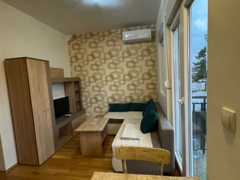 Rent, one bedroom apartment, 30m², Zabjelo, Podgorica - image 1