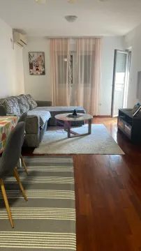 Rent, one bedroom apartment, 47m², Stari Aerodrom, Podgorica - image 12