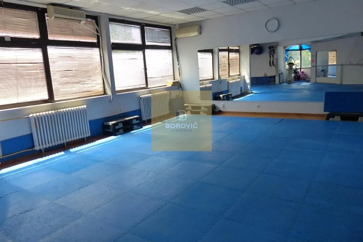 Sale, office space, 273m², Banovo Brdo, Beograd