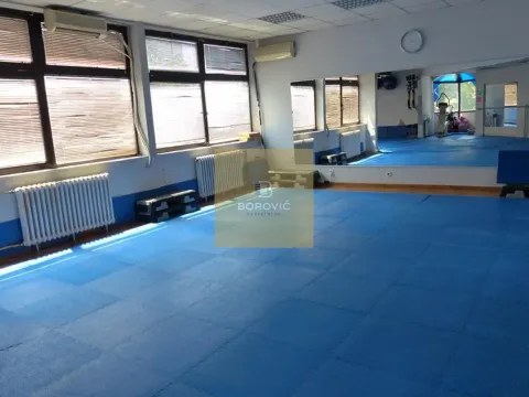 Prodaja, poslovni prostor, 273m², Banovo Brdo, Beograd - image 2