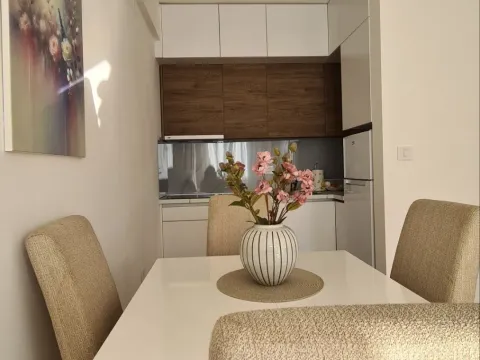 Izdavanje, jednosoban stan, 42m², Zabjelo, Podgorica - image 6