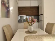 Izdavanje, jednosoban stan, 42m², Zabjelo, Podgorica - image 6