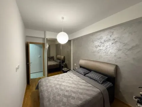 Izdavanje, jednosoban stan, 50m², Tuški Put, Podgorica - image 10