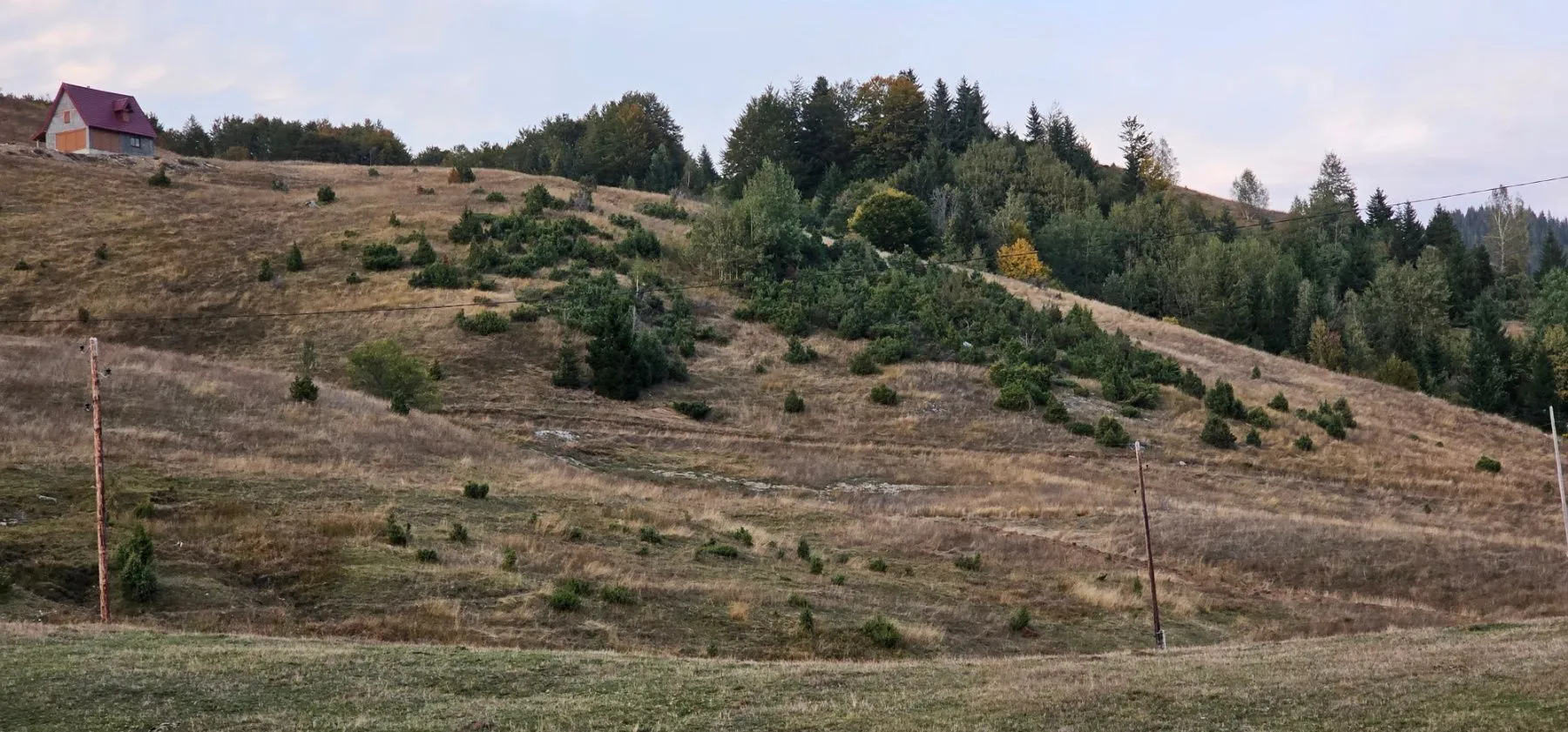 Prodaja, plac, 4764m², Berane, Crna Gora