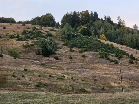 Prodaja, plac, 4764m², Berane, Crna Gora - image 4