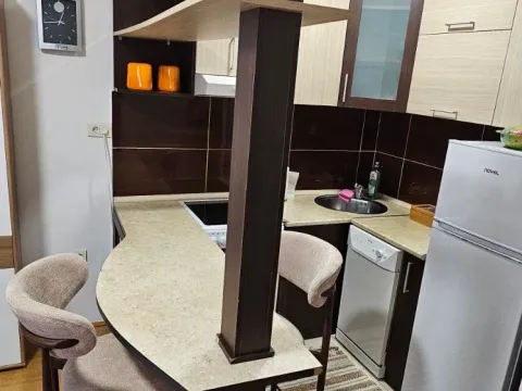 Rent, one bedroom apartment, 40m², Ljubović, Podgorica - image 7