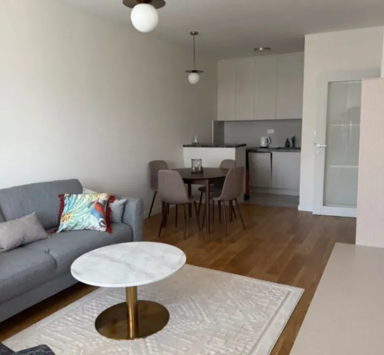 Izdavanje, jednosoban stan, 49m², Central Point, Podgorica