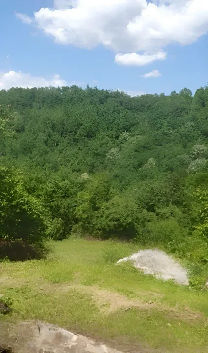 Prodaja, plac, 24808m², Kolašin, Crna Gora