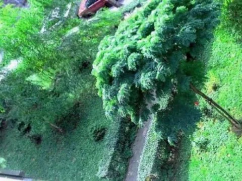 Rent, two bedroom apartment, 50m², Tašmajdan, Palilula Sve Podlokacije - image 9