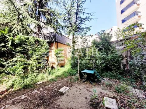 Overgrown yard with a garden table and chairs surrounded by greenery. - image 16